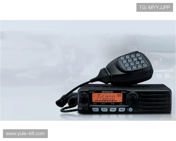 k8凯发中文站的安全保障措施与用户隐私保护策略详解