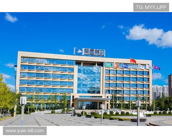 k8凯发体育娱乐安全保障措施详解：如何确保您的账户资金与信息安全